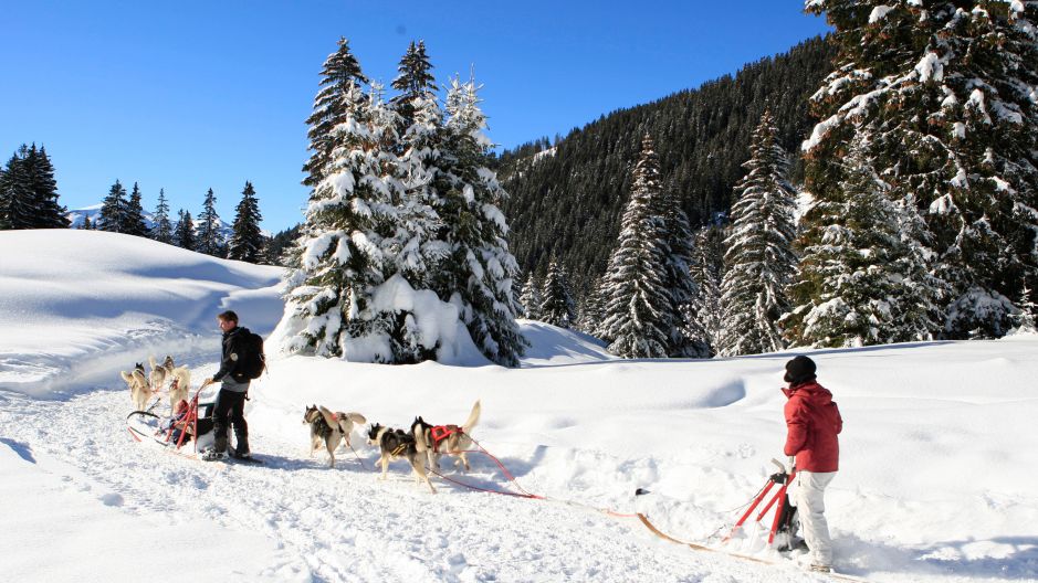 Perros de trineo en Val Thorens : Aventura invernal